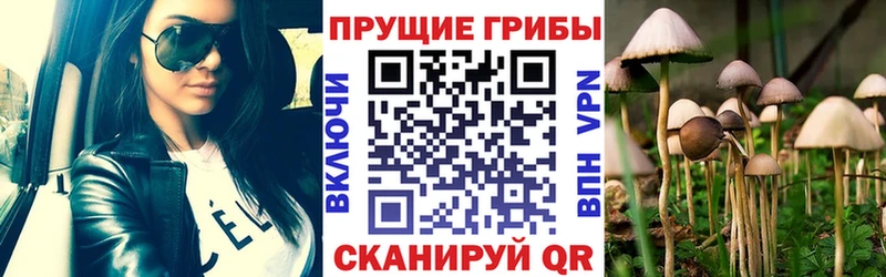 Псилоцибиновые грибы GOLDEN TEACHER Кузнецк