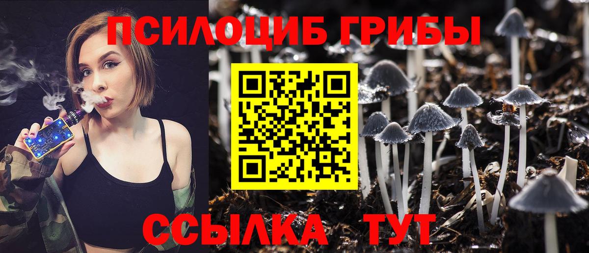 Галлюциногенные грибы GOLDEN TEACHER  Вход с VPN  Кузнецк 