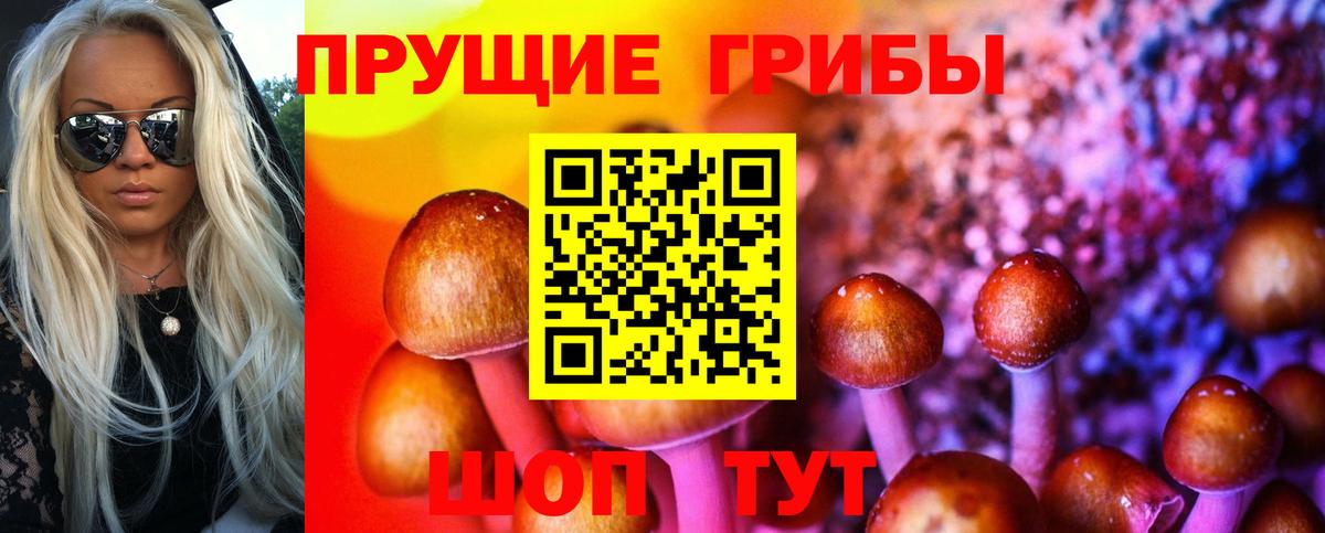 Галлюциногенные грибы мухоморы Кузнецк