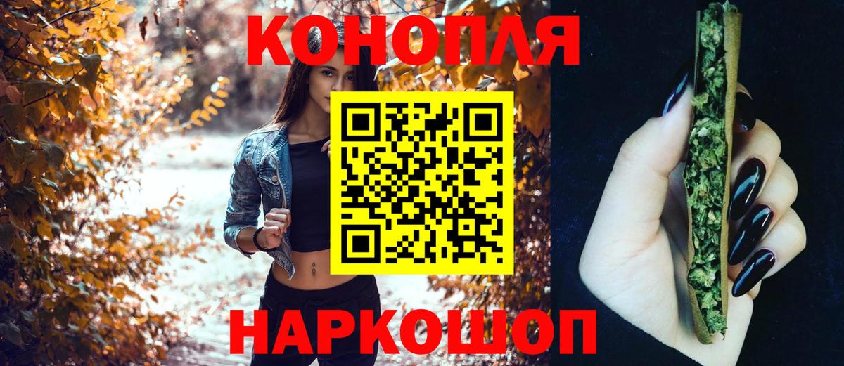 Бошки марихуана сатива Кузнецк